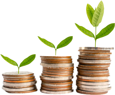 Savings-coins